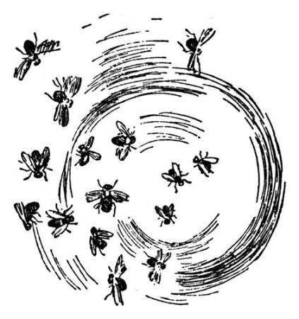 Insects - Theodor Severin Kittelsen, circa 1900