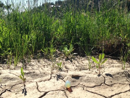 Eternal-trans-temporal - photo by j/j hastain